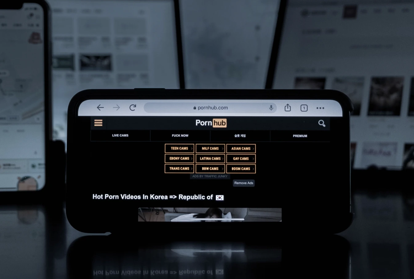 Pornhub blockiert Zugang in 17 Bundesstaaten aufgrund von Datenschutzrisiken